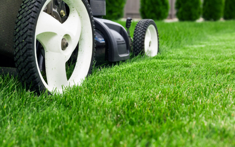 Gartenpflege von Get Clean